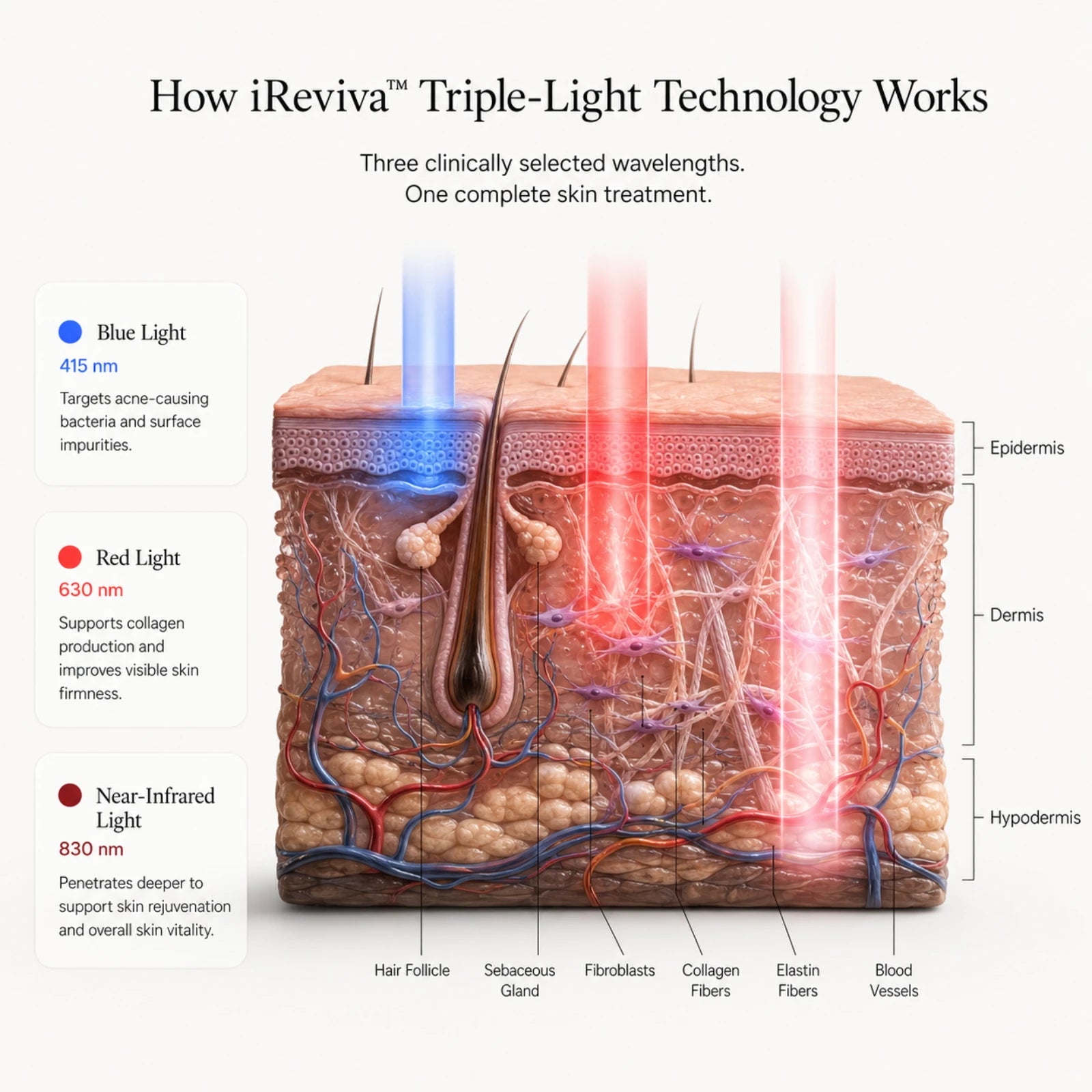 iReviva Pro 234 LED light therapy coverage for face, neck and chest